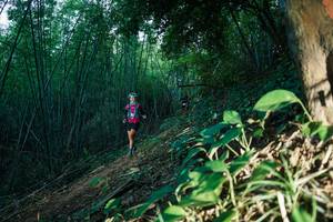 BIB: 
                            <button type="button" onclick="openModal(28124077)" class="btn btn-primary btn-sm float-right btn-popup" data-toggle="modal" data-target=".modal-high-quality">
                        <i class="fas fa-shopping-cart"></i> Add to Cart
                    </button>
                                            <button type="button" onclick="isThisMe(28124077, true)" class="btn btn-success btn-sm float-right btn-popup btn-isme hidden" data-toggle="tooltip" data-placement="bottom" title="นี่คือรูปของคุณใช่ไหม คลิกที่นี่เพื่อเอาเข้าอัลบั้ม">
                        <i class="fas fa-plus"></i> Add to album
                    </button>
                    <button type="button" onclick="isThisMe(28124077, false)" class="btn btn-warning btn-sm float-right btn-popup btn-isnotme hidden">
                        <i class="fas fa-ban"></i> Remove from album
                    </button>